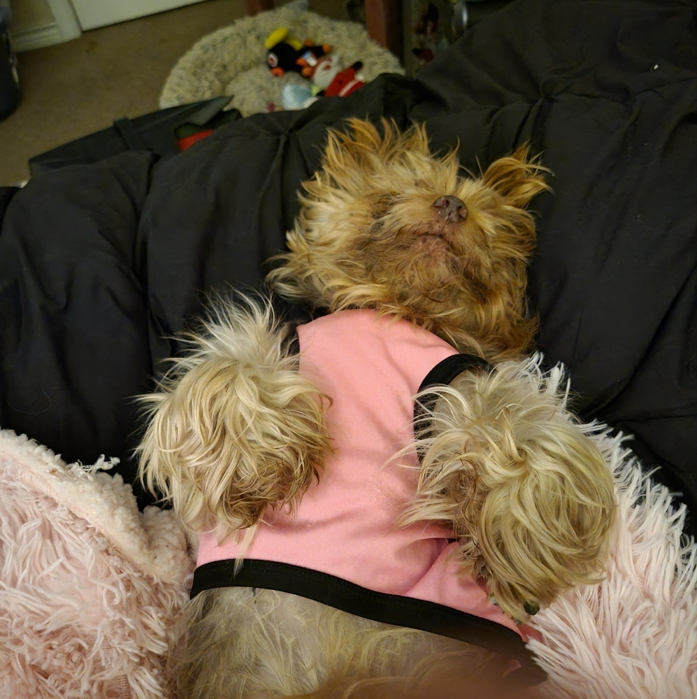 Meet your Posher, Randa - Picture 2 of 2